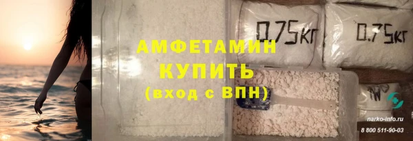 сатива Новозыбков