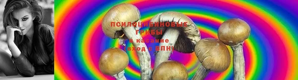 мяу мяу мука Куйбышев