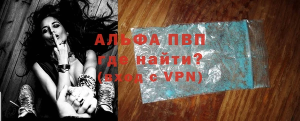 стафф Новокубанск
