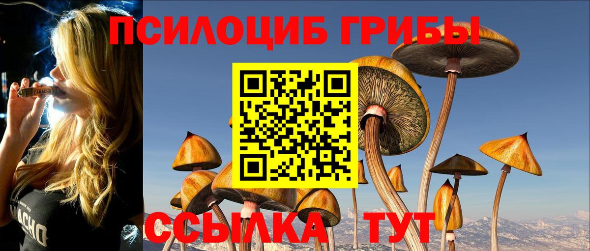 Волоколамск  Псилоцибиновые грибы Cubensis  Вход с VPN  Псилоцибиновые грибы Psilocybe 