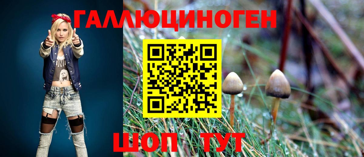 Галлюциногенные грибы Magic Shrooms Волоколамск